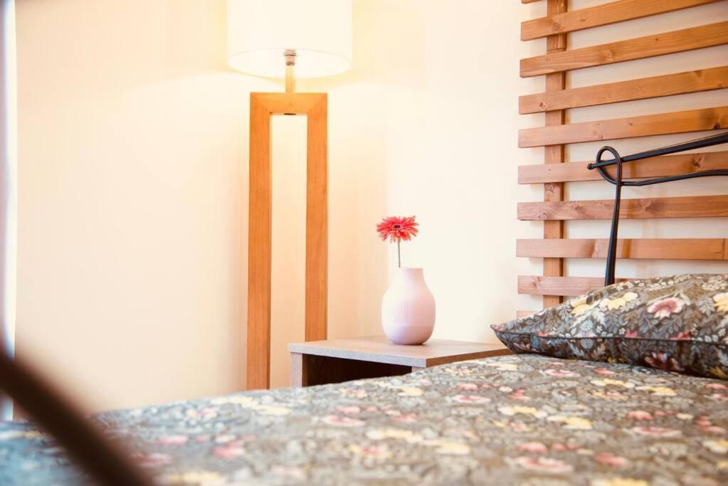 Relax Home,Nel Cuore Della Valle D'Aosta 蒙蒂奥韦特 外观 照片